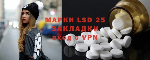 гидра Инсар