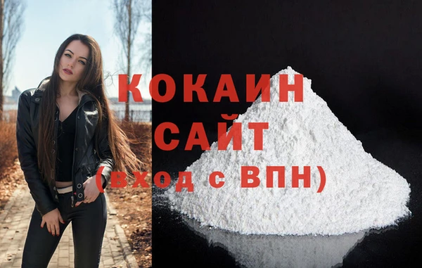 гидра Инсар