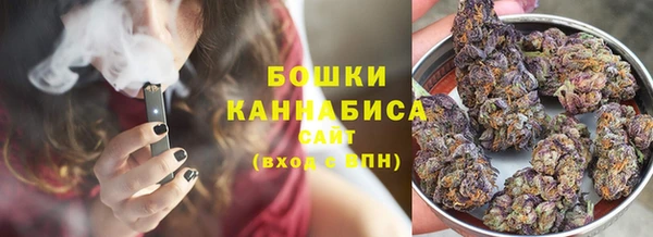 гидра Инсар